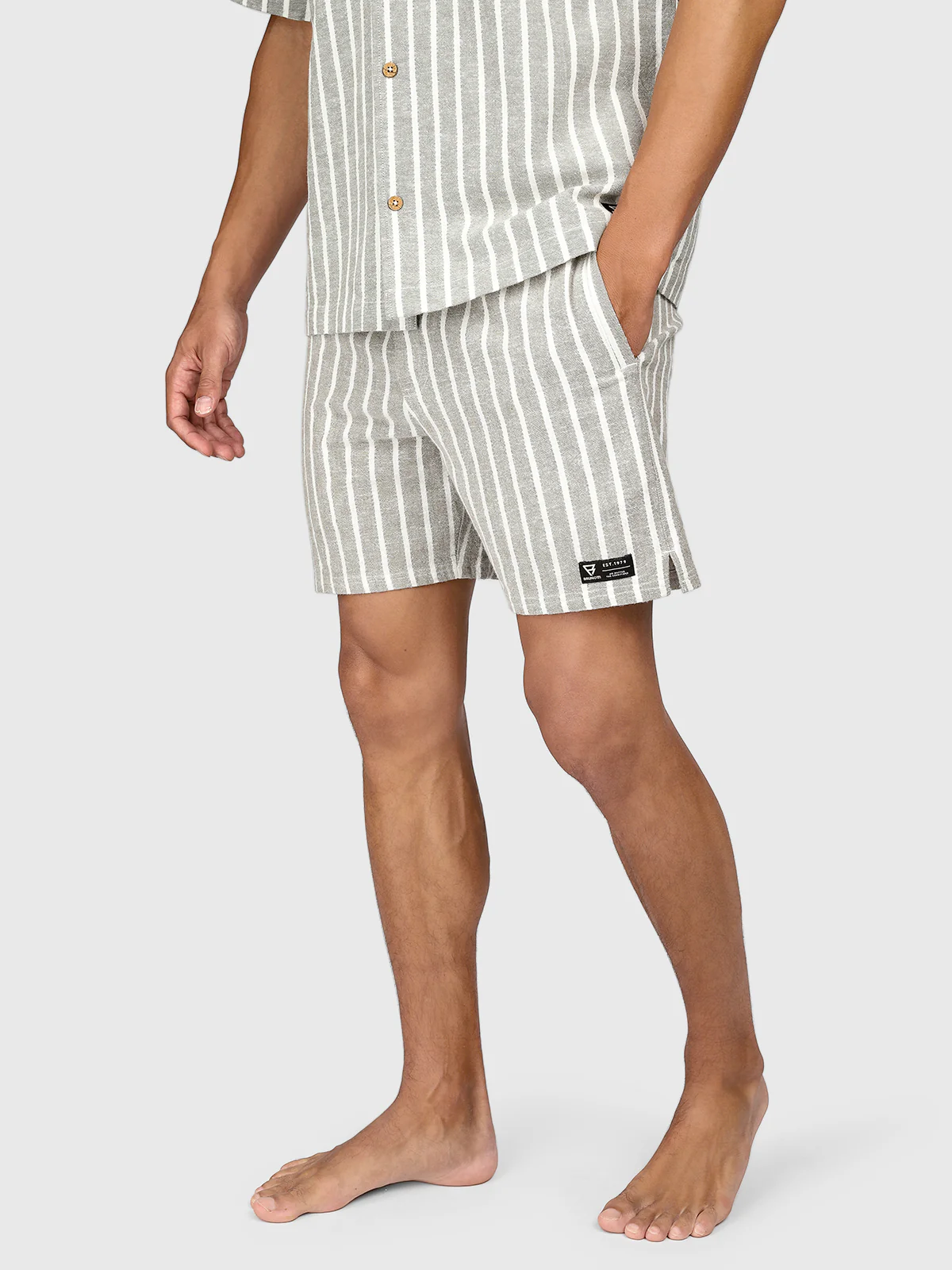 Aiden-Stripe Men Walk Shorts | Snow