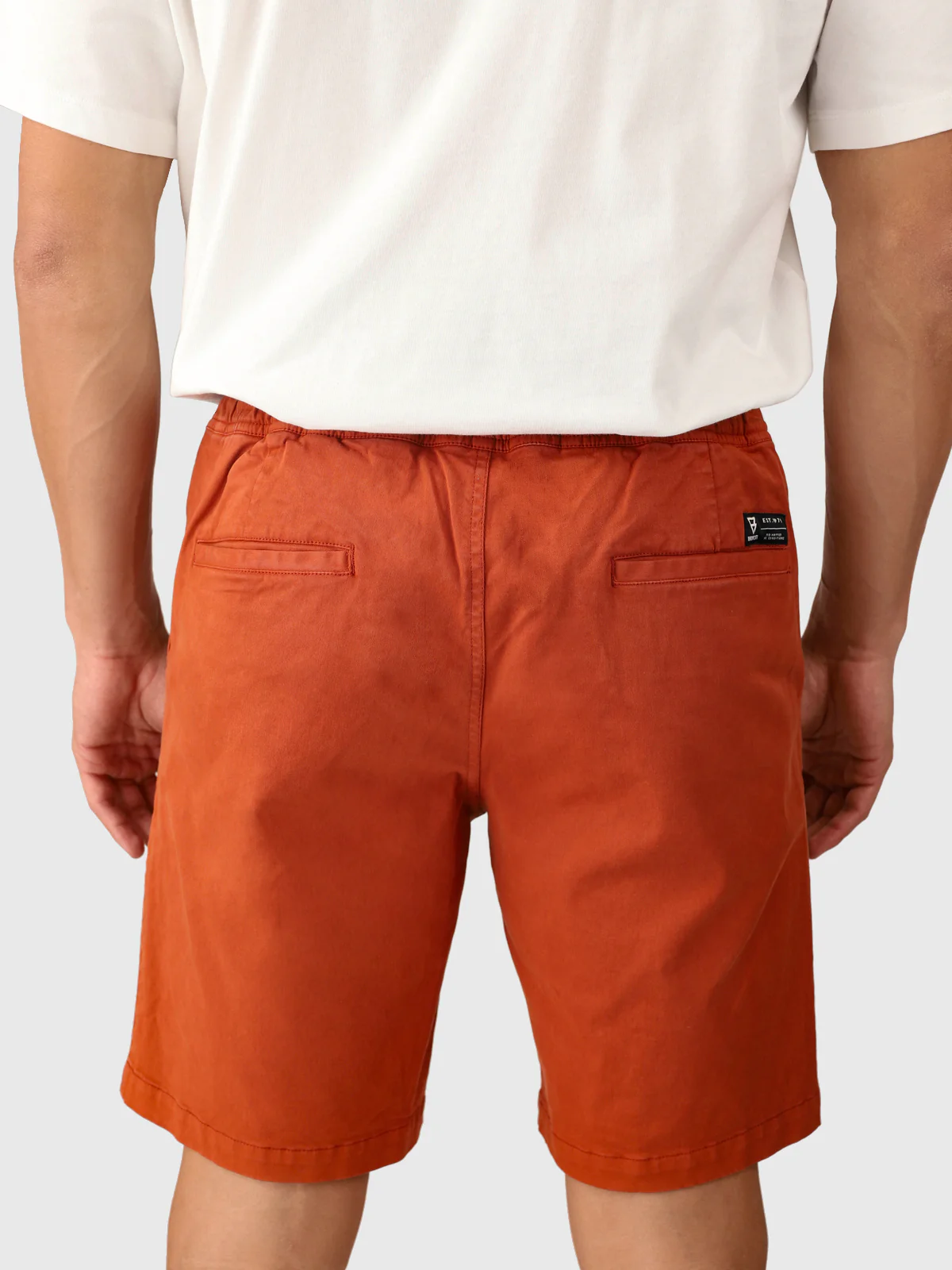 Carlos Men Walkshorts | Arabian Spice - Image 4